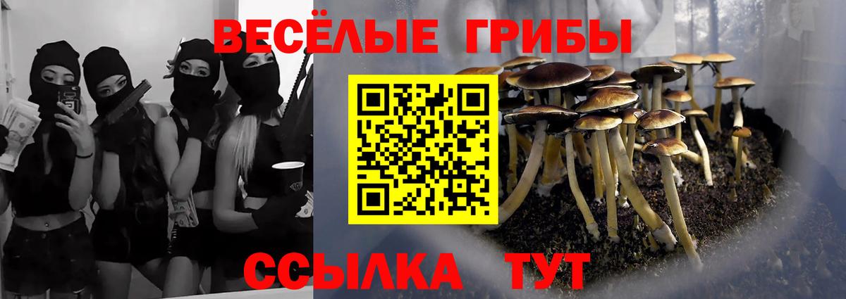 Галлюциногенные грибы ЛСД Кинель